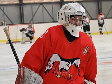 На хоккей всего 100 дней