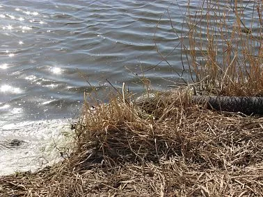 В Копейске ведутся работы по водопонижению