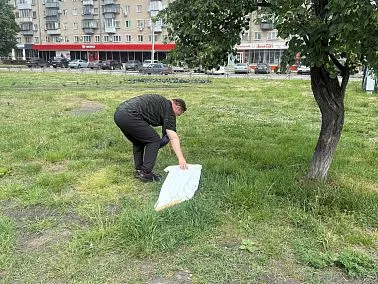 В Копейске можно спокойно гулять по парку и скверу