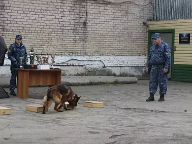 Школьники Копейска увидели работу колонии изнутри