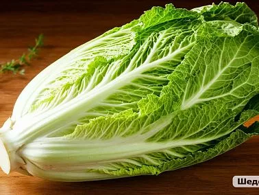 Заражённую трипсом пекинскую капусту из Узбекистана обезвредят в Челябинске