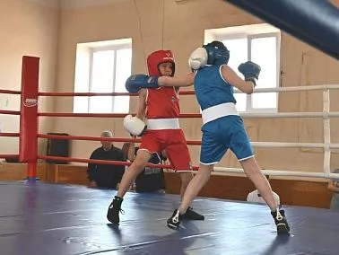 Боксерский турнир дебютов открылся в Горняке