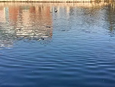 Женский дебют на рыбалке: корреспондент «Копейского рабочего» делится впечатлениями