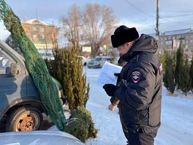 Полицейские Челябинской области подвели итоги операции «Правопорядок»