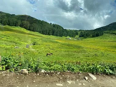 "Зигальга" вновь открыта для туристов