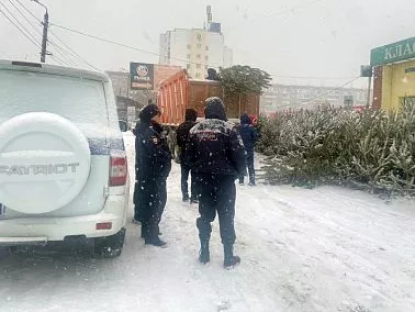Сотрудники органов внутренних дел провели рейды по проверке законности продажи елей в Челябинской области