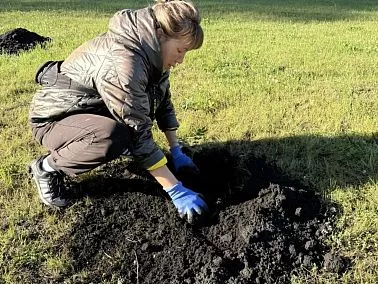  В Копейске в парке высадили новые деревья