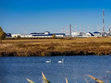 Благодаря нефтепроводчикам рыбы прибавилось