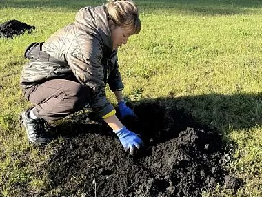  В Копейске в парке высадили новые деревья