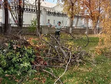 В копейском городском парке навели порядок