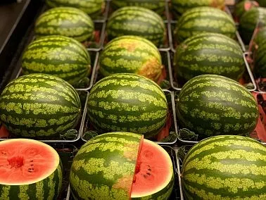 В Челябинской области стартовали поставки летних лакомств из‑за рубежа