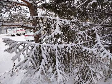 Морозный вторник ждёт копейчан 10 марта