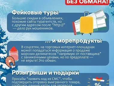 Полиция Челябинской области предупреждает: в предновогодний период активизировались мошенники