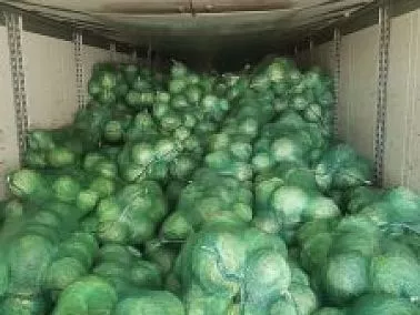  В Бугристом не пропустили 96 тонн овощей и фруктов из‑за нарушений маркировки