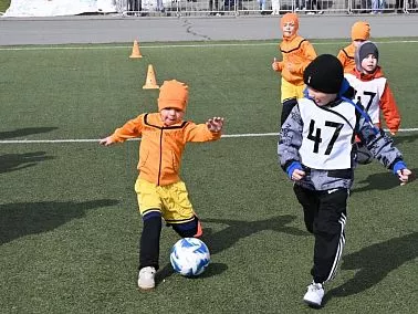 «Малышок»: фестиваль для малышей