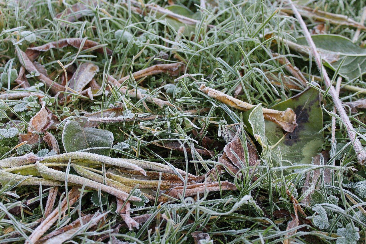 Копейчан предупредили о заморозках на почве