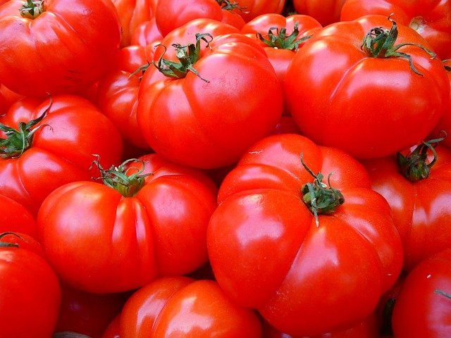 «Больные» помидоры доставили в Челябинск