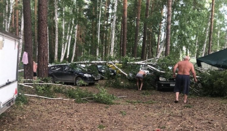 Пронесшийся на Увильдах ураган повалил деревья на машины отдыхающих