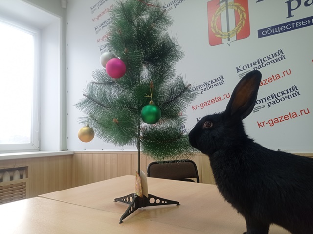Черный Кролик побывал в гостях у «Копейского рабочего»