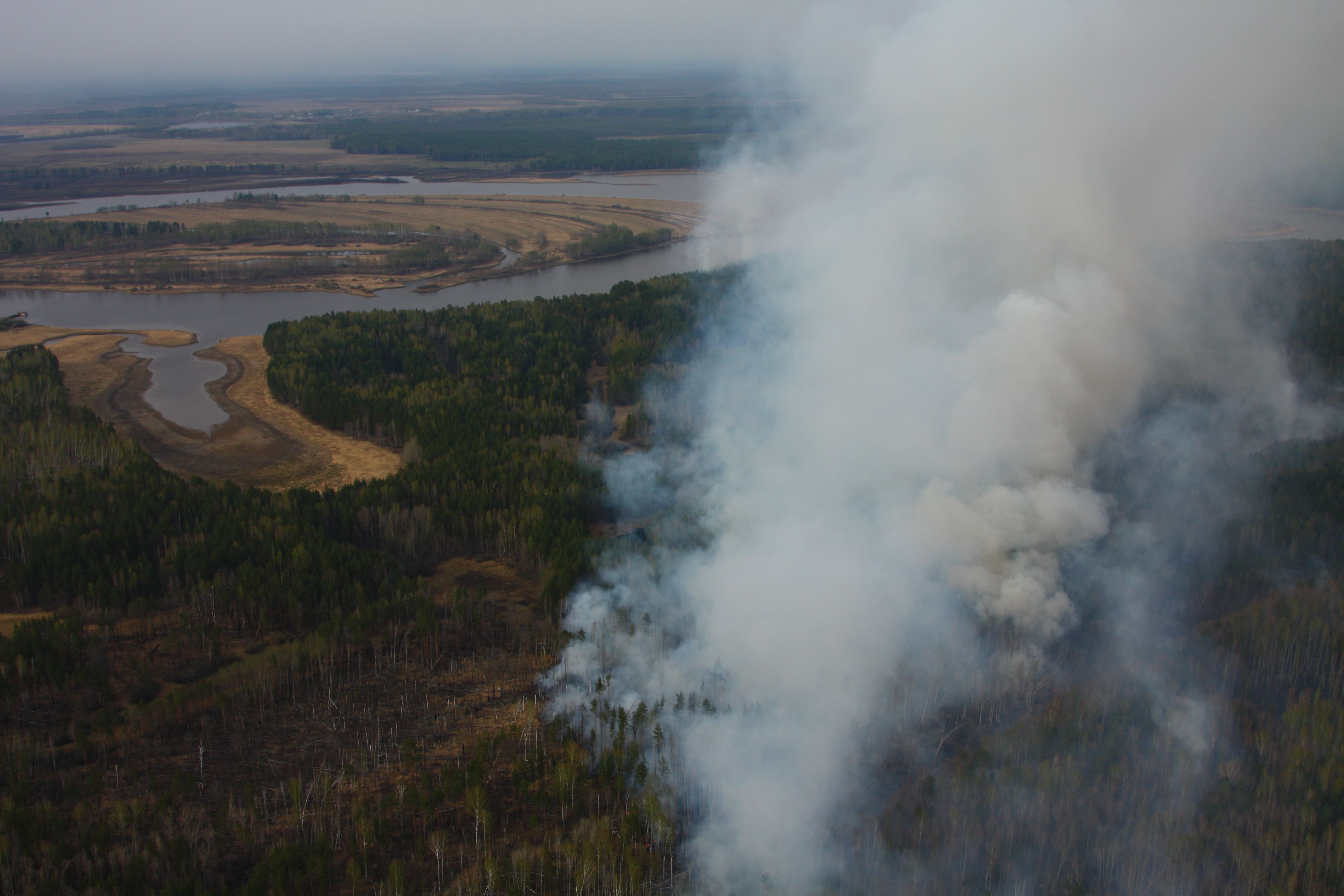 Сбор валежника привел к крупному пожару в Челябинской области