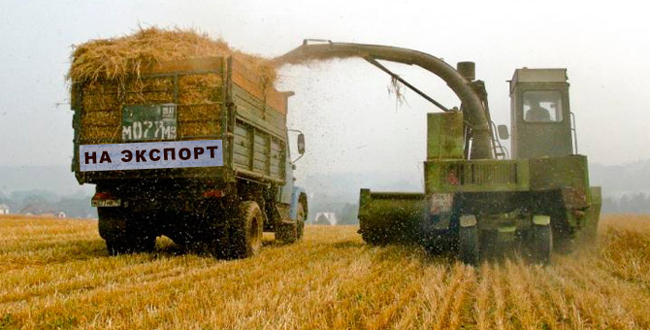 Минсельхоз: субъекты РФ смогут поставлять зерно в Китай