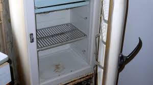 Несколько детей погибли в старых российских холодильниках