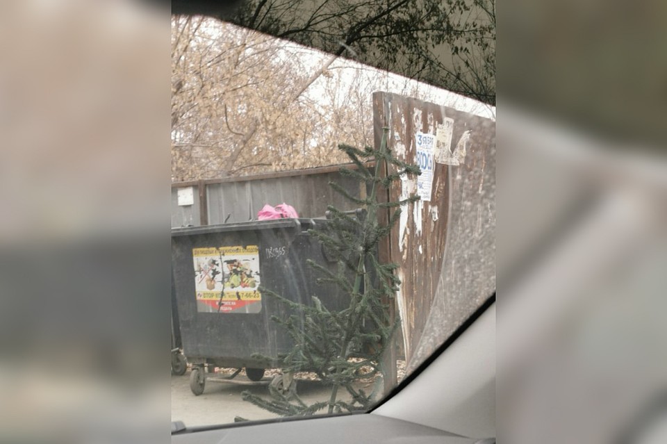 За два месяца до Нового года в Копейске кто-то наконец выбросил елку