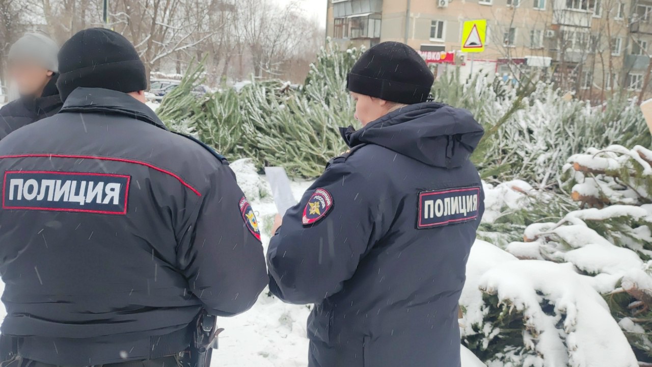 В Копейске конфисковали партию новогодних елей