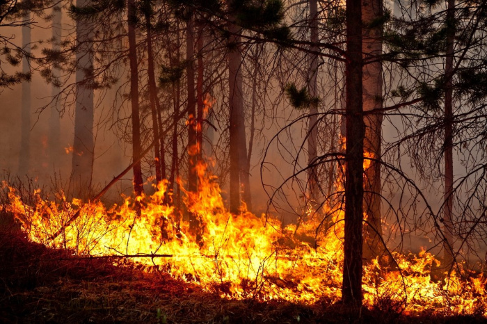 В Челябинской области прогнозируют лесные пожары