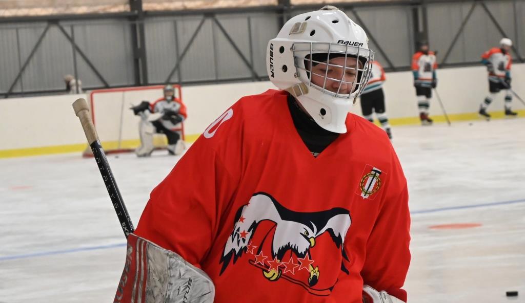 На хоккей всего 100 дней