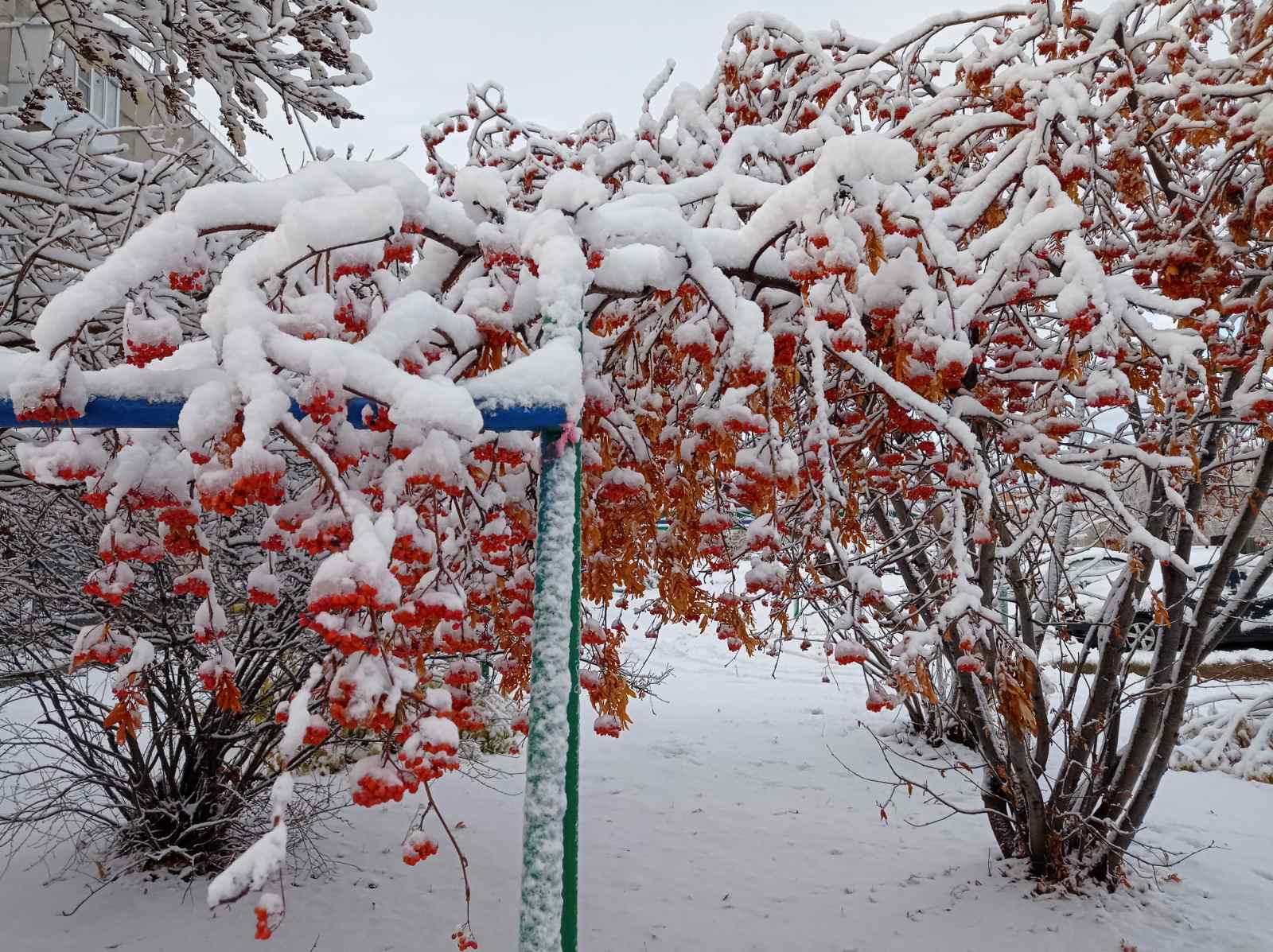 Синоптики рассказали, надолго ли выпал снег в Челябинской области
