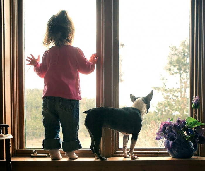 Как избежать несчастного случая, связанного с падением ребенка из окна?