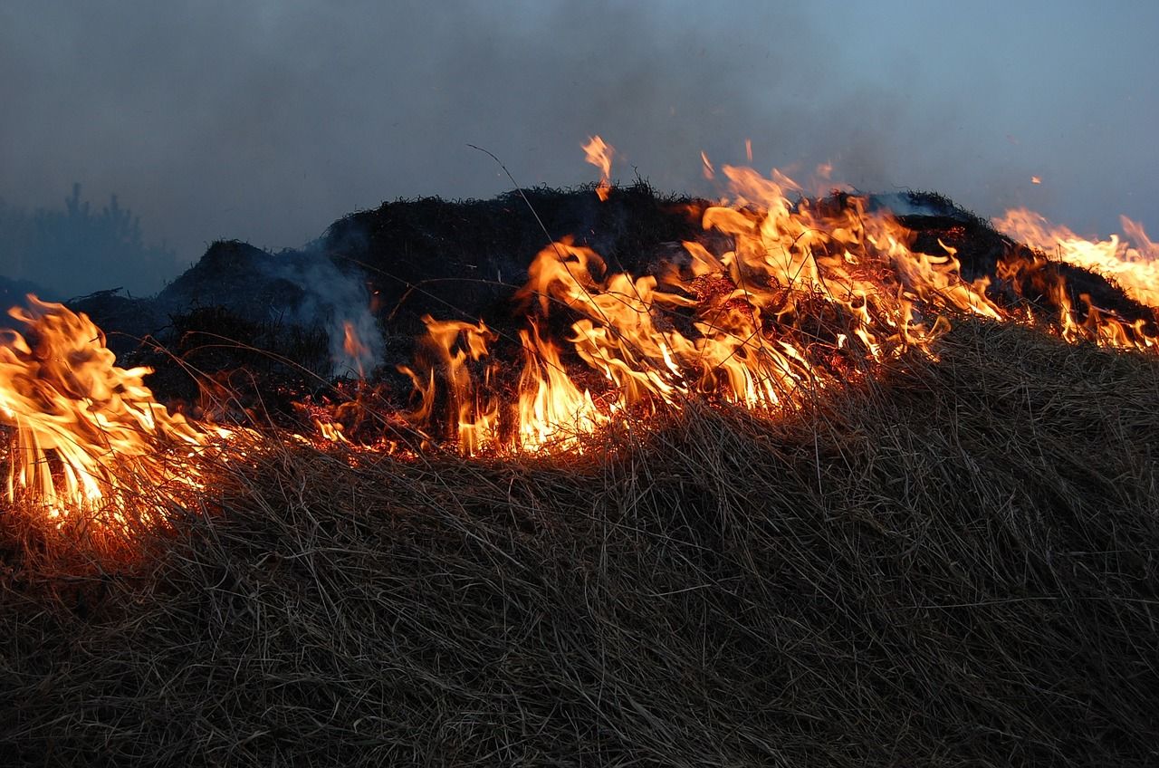 Челябинскую область достиг дым от торфяных пожаров