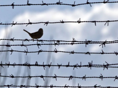 80 заключенных ИК Копейска выйдут по амнистии