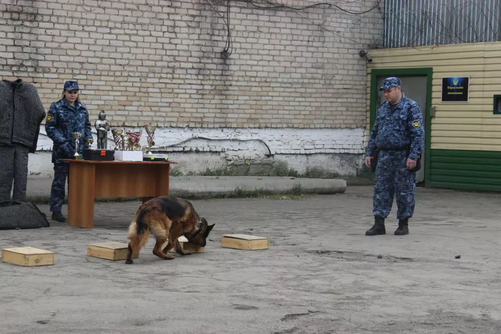 Школьники Копейска увидели работу колонии изнутри