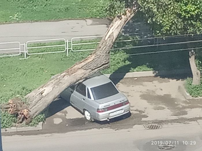 Ураган повалил деревья и перевернул торговую палатку в Челябинске