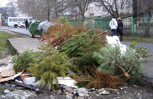 Сдать новогоднюю елку в Копейске можно будет в трех точках