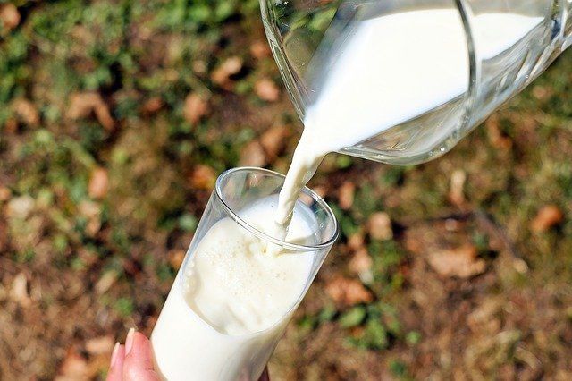Аномальная жара внесла свои коррективы. Вырастут ли цены на молоко?