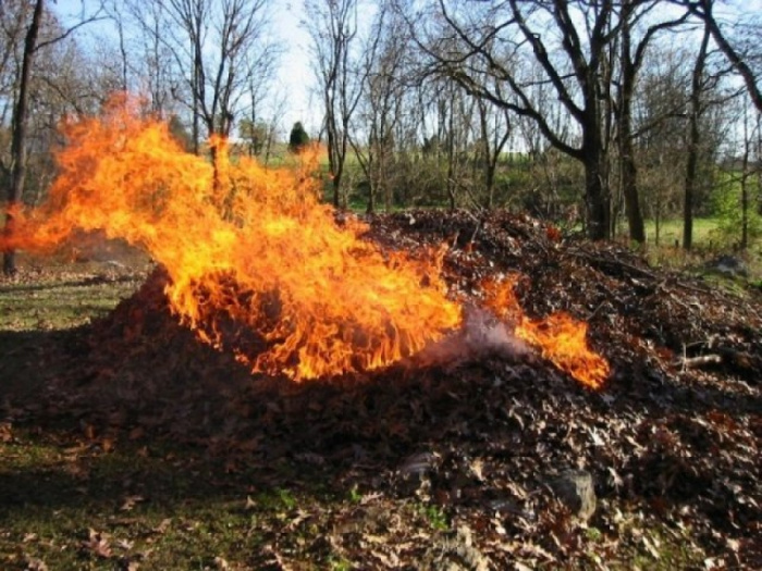 Экологи рассказали, какой вред Копейску наносит сжигание прошлогодней листвы