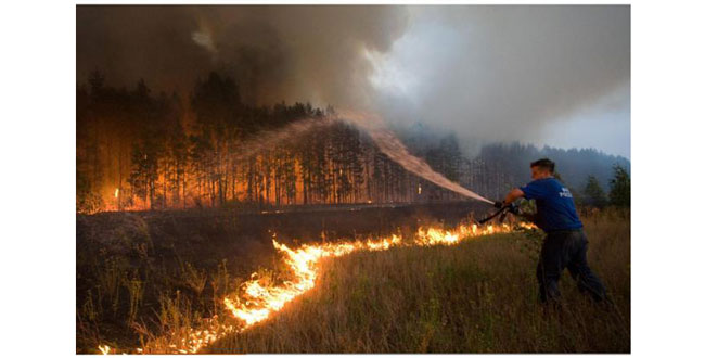 Угроза миновала: сильнейший лесной пожар в Челябинской области локализован