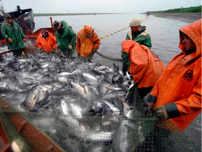 На Южном Урале будут развивать рыбоводство