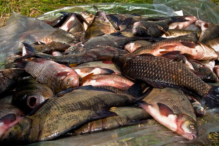 Рыбалка на озере Сугояк - лучшие советы и секреты для успешной прогулки на природе
