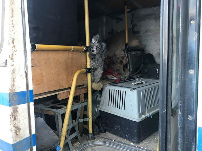 В центре Челябинска трое суток мучили цирковых животных в запертом автобусе