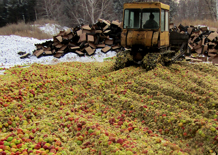 На Южном Урале уничтожают сакционные продукты: 19 тонн яблок и 18 тонн сала (видео)