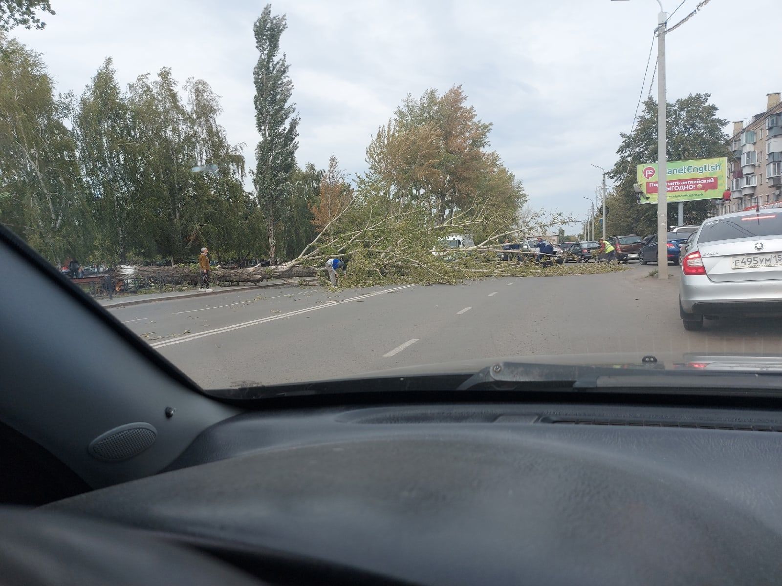 В Копейске ураган повалил деревья на дорогу