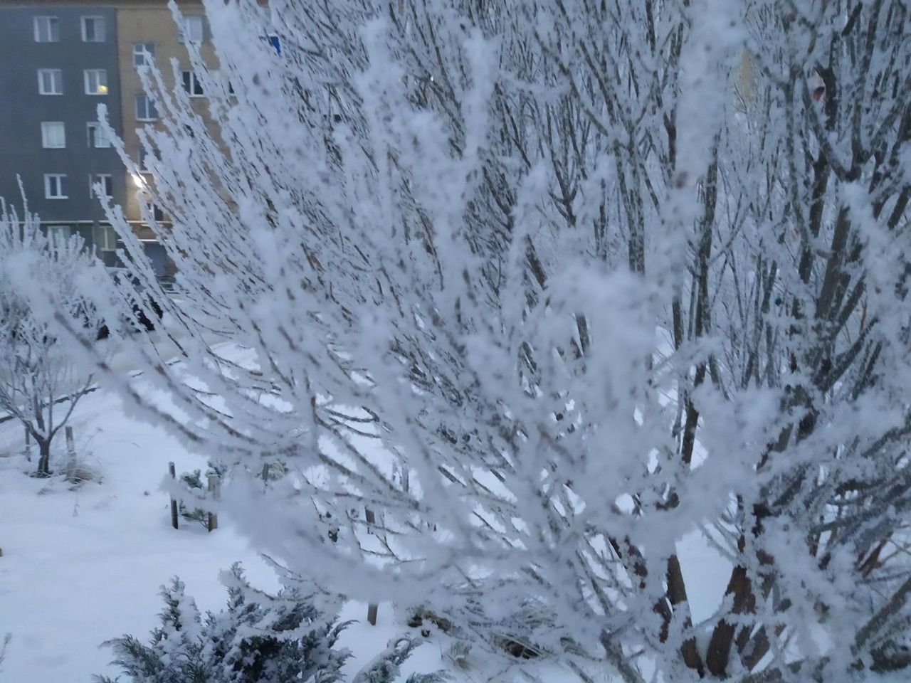 Занятия начальной школы отменены из-за мороза в Челябинске 19 января