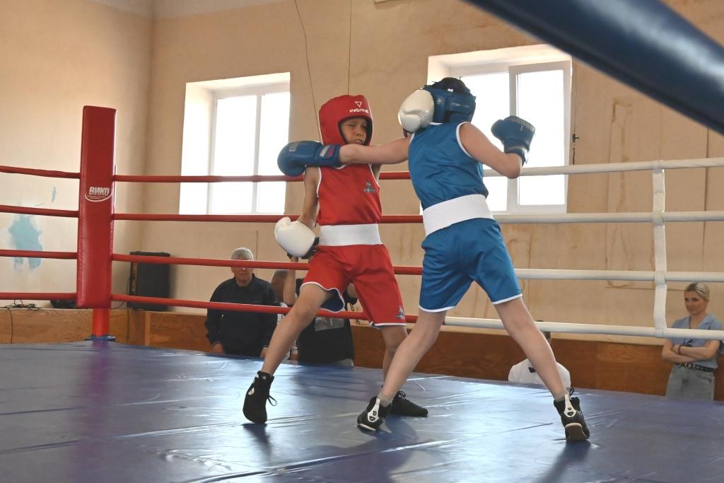 Боксерский турнир дебютов открылся в Горняке