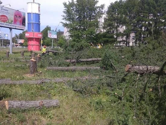 В Челябинске вырубили деревья для строительства новой развязки на Дарвина