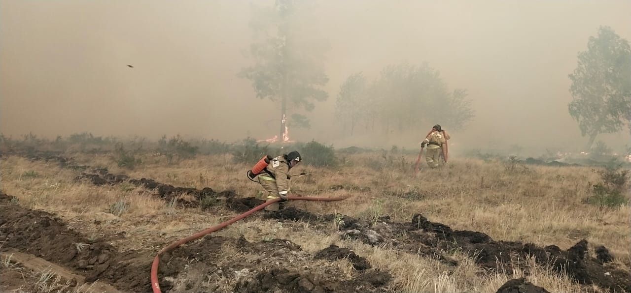 Причинами сильнейших пожаров на юге Челябинской области стали засуха и сильный ветер