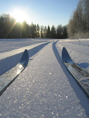  Спортсмены  Копейска «навострят лыжи»